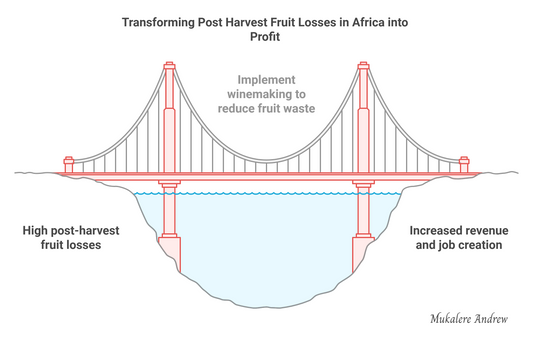 Tackling Post-Harvest Losses in Africa through Winemaking